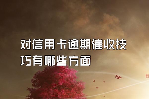 对信用卡逾期催收技巧有哪些方面