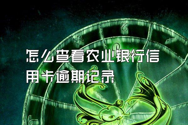 怎么查看农业银行信用卡逾期记录