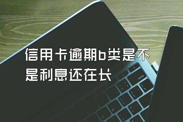 信用卡逾期b类是不是利息还在长