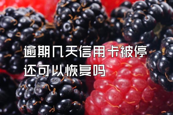 逾期几天信用卡被停还可以恢复吗