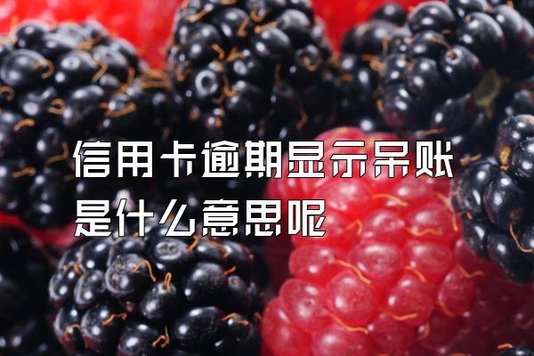 信用卡逾期显示呆账是什么意思呢