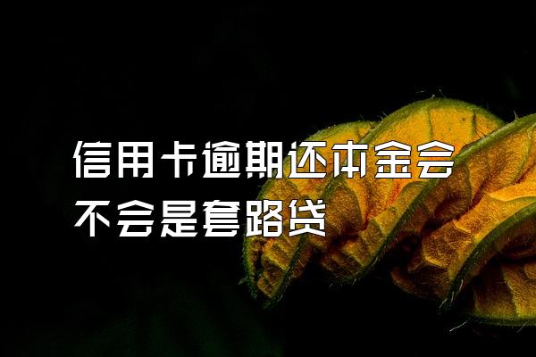 信用卡逾期还本金会不会是套路贷