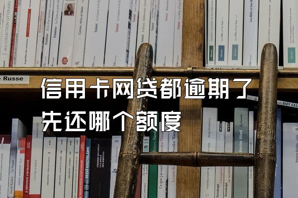 信用卡网贷都逾期了先还哪个额度