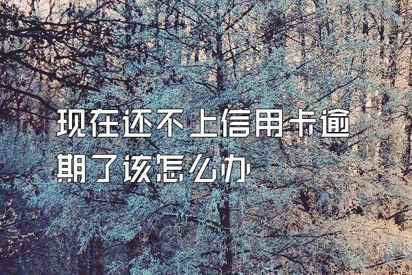 现在还不上信用卡逾期了该怎么办