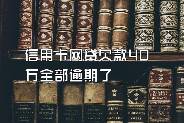 信用卡网贷欠款40万全部逾期了