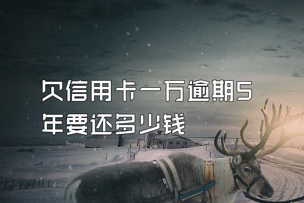 欠信用卡一万逾期5年要还多少钱