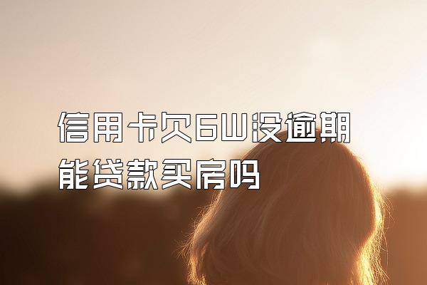 信用卡欠6W没逾期能贷款买房吗