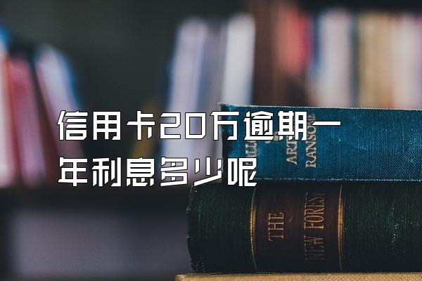 信用卡20万逾期一年利息多少呢