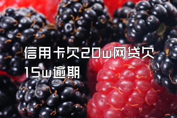 信用卡欠20w网贷欠15w逾期