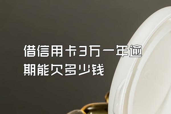 借信用卡3万一年逾期能欠多少钱