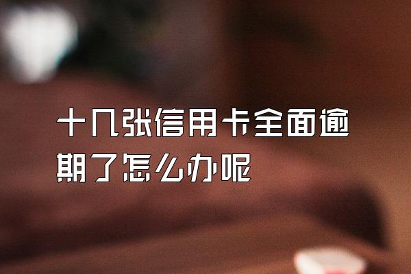 十几张信用卡全面逾期了怎么办呢