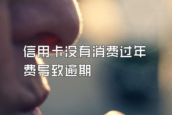 信用卡没有消费过年费导致逾期