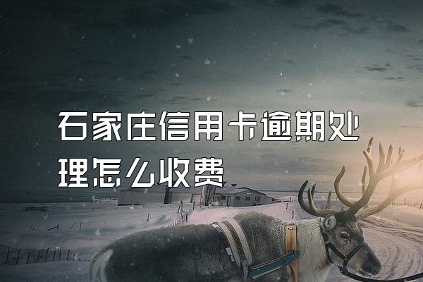 石家庄信用卡逾期处理怎么收费