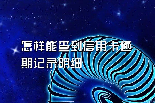怎样能查到信用卡逾期记录明细