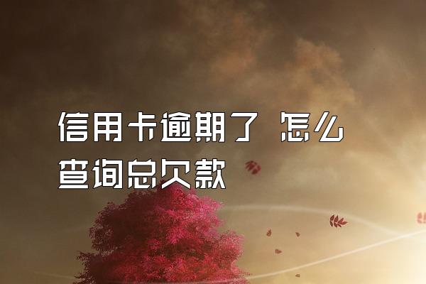 信用卡逾期了 怎么查询总欠款
