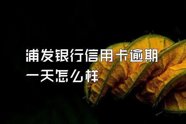 浦发银行信用卡逾期一天怎么样