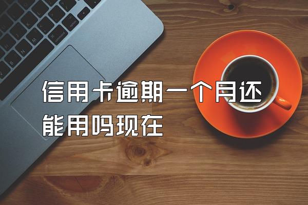 信用卡逾期一个月还能用吗现在