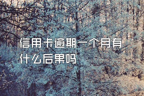 信用卡逾期一个月有什么后果吗