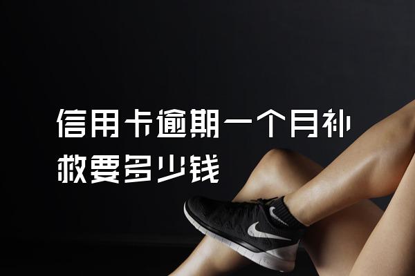 信用卡逾期一个月补救要多少钱