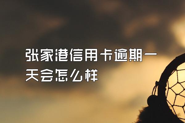 张家港信用卡逾期一天会怎么样