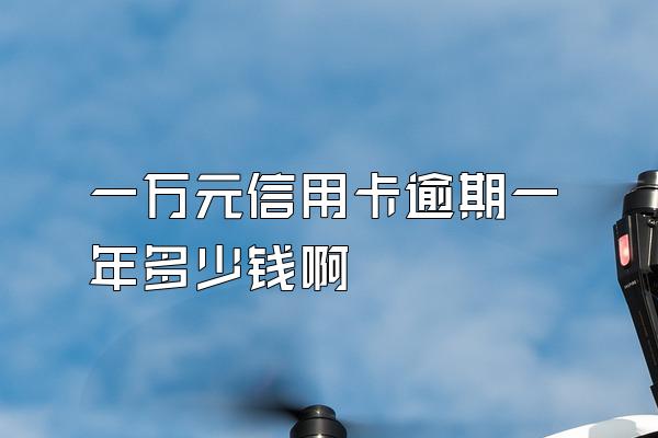 一万元信用卡逾期一年多少钱啊