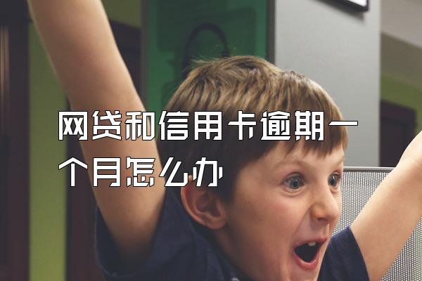 网贷和信用卡逾期一个月怎么办