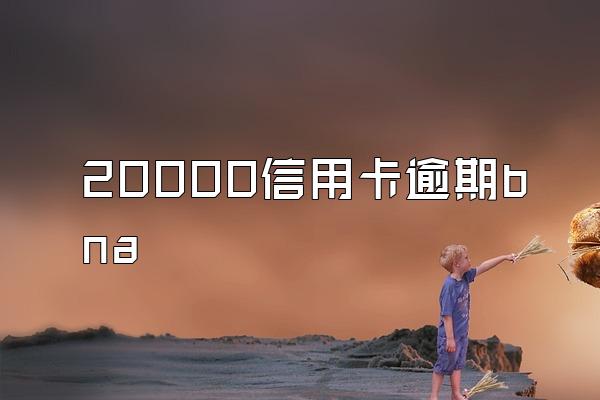 20000信用卡逾期bna