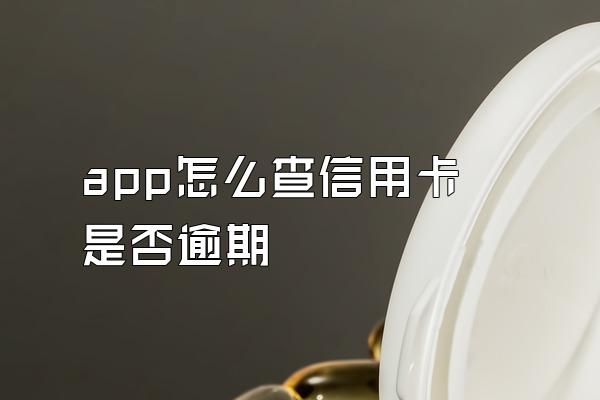 app怎么查信用卡是否逾期
