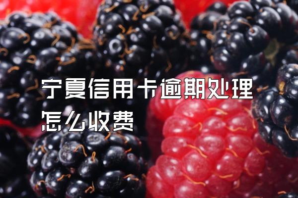 宁夏信用卡逾期处理怎么收费