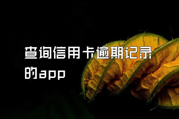 查询信用卡逾期记录的app