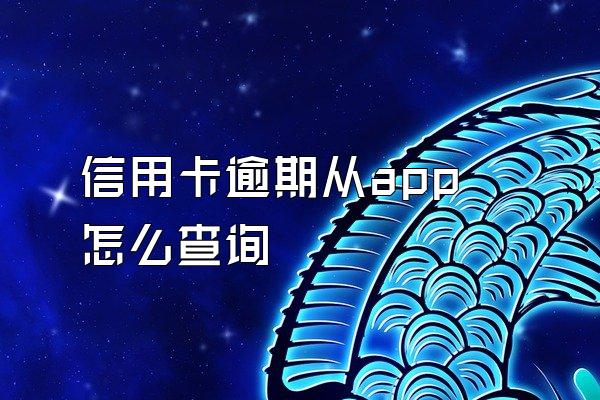 信用卡逾期从app怎么查询