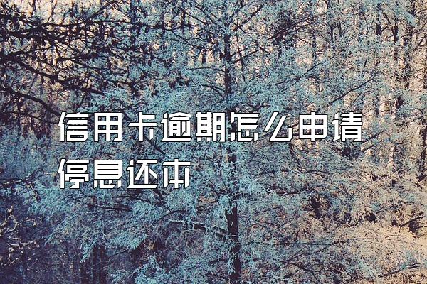 信用卡逾期怎么申请停息还本