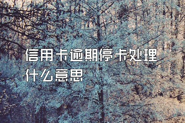 信用卡逾期停卡处理什么意思