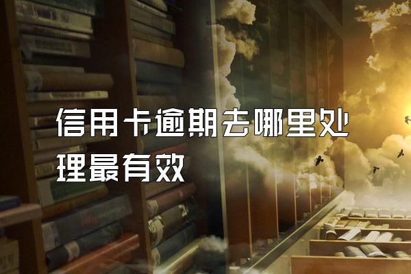 信用卡逾期去哪里处理最有效