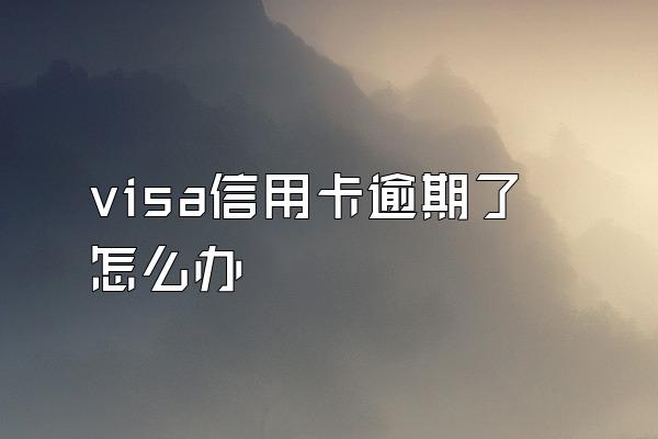 visa信用卡逾期了怎么办