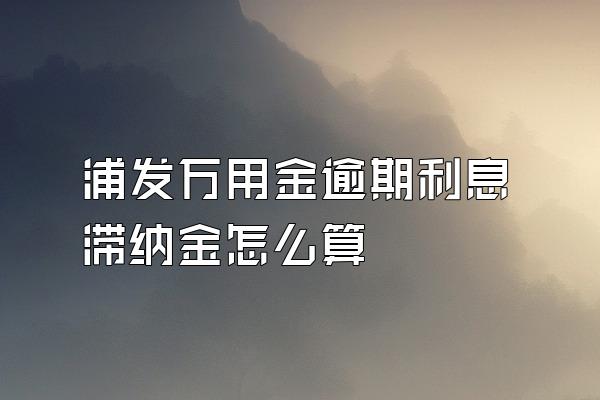 浦发万用金逾期利息滞纳金怎么算