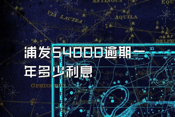 浦发54000逾期一年多少利息