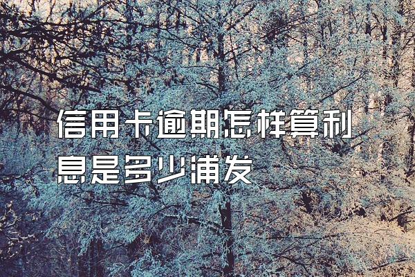 信用卡逾期怎样算利息是多少浦发