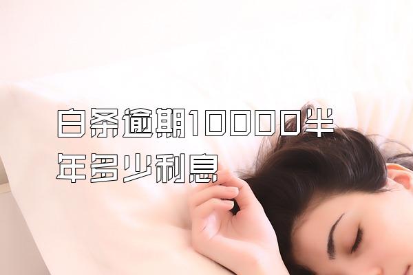 白条逾期10000半年多少利息