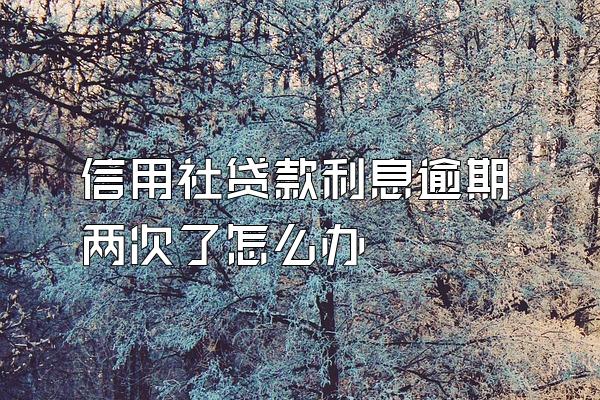 信用社贷款利息逾期两次了怎么办