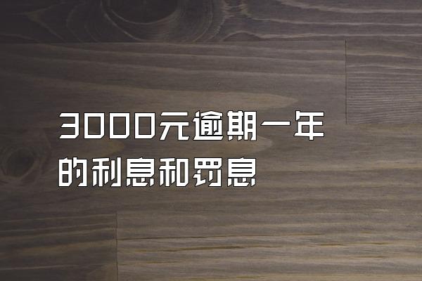 3000元逾期一年的利息和罚息