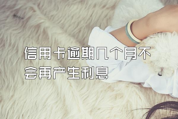 信用卡逾期几个月不会再产生利息