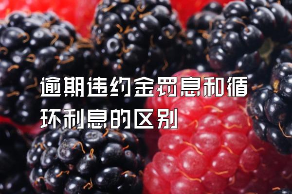 逾期违约金罚息和循环利息的区别