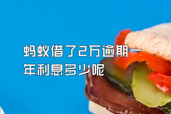 蚂蚁借了2万逾期一年利息多少呢