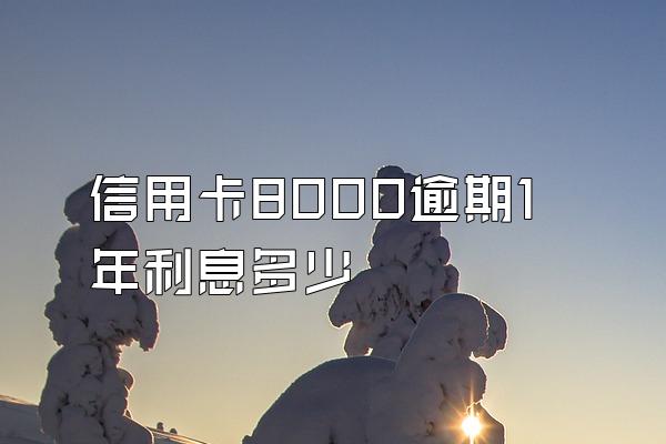 信用卡8000逾期1年利息多少