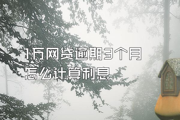 1万网贷逾期3个月怎么计算利息