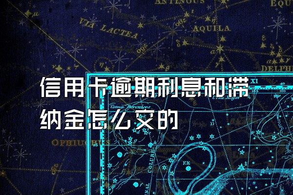 信用卡逾期利息和滞纳金怎么交的