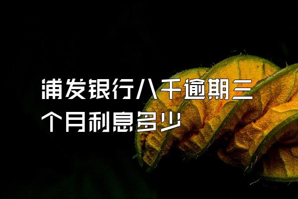 浦发银行八千逾期三个月利息多少