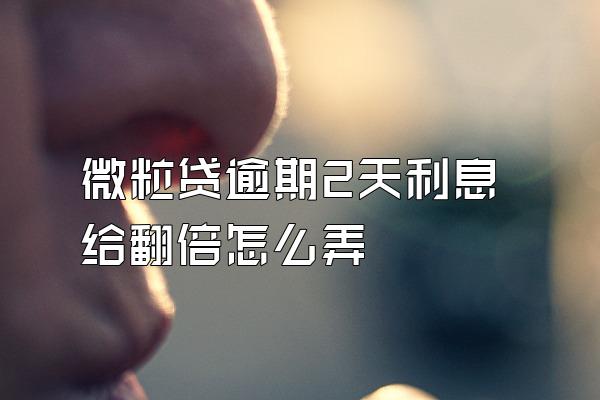 微粒贷逾期2天利息给翻倍怎么弄
