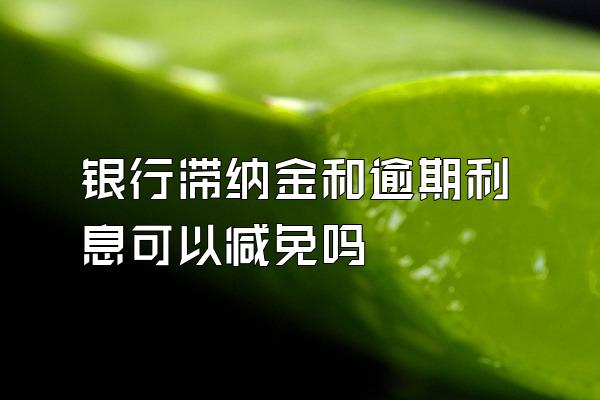 银行滞纳金和逾期利息可以减免吗